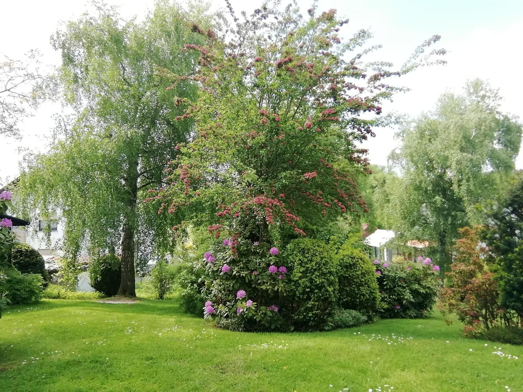 Ferienwohnung Christel Extertal Luaran gambar